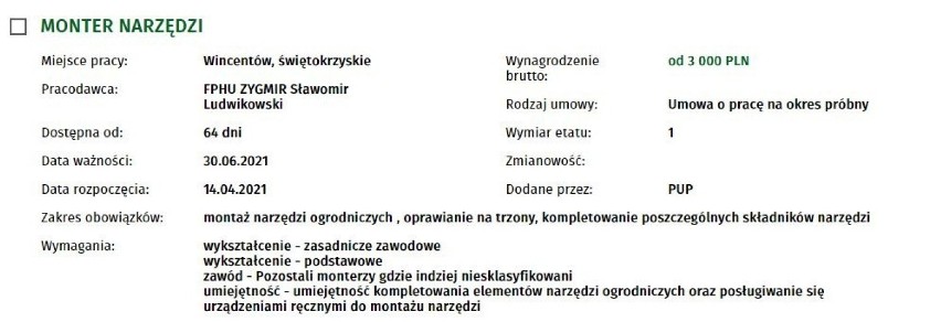 Jest naprawdę dobrze płatna praca w powiecie koneckim. Zobacz oferty pracy z najwyższymi zarobkami [TOP 20]