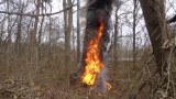 W Nysie ogień z płonących opon zajął drzewo. Policja szuka sprawców i prosi o pomoc świadków