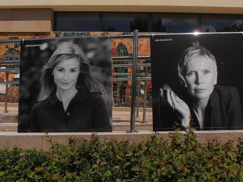 Tę galerię powinniście zobaczyć! Podczas letniego spaceru...