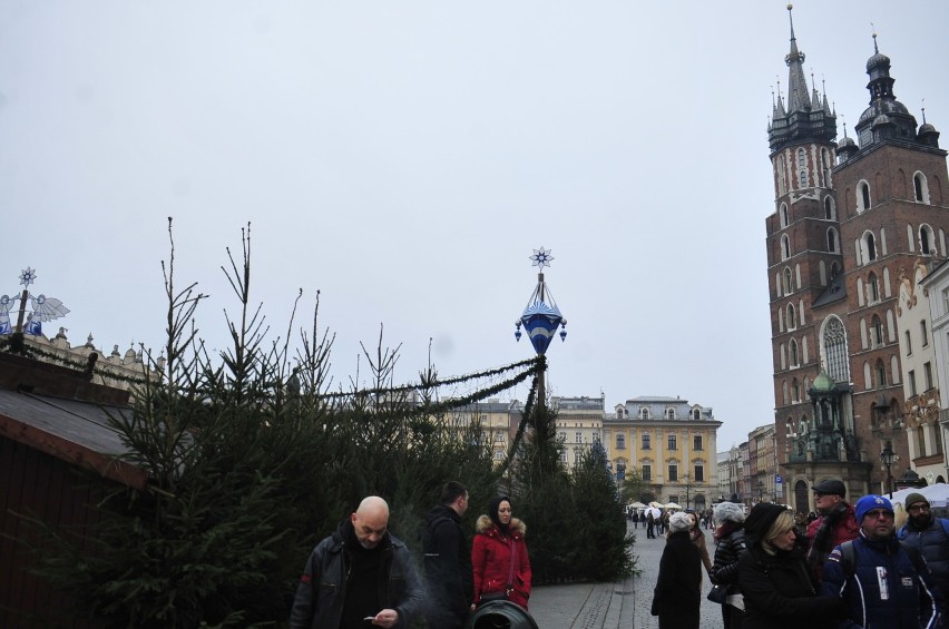 Kraków przygotowuje się na Boże Narodzenie. Stanęła choinka, w piątek zacznie się przedświąteczny kiermasz