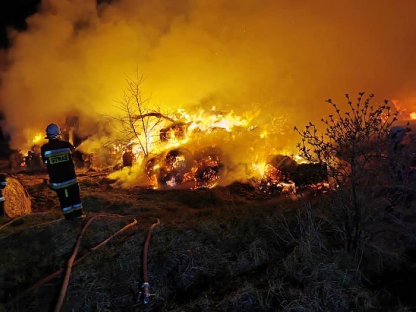 Pożar w gminie Mokrsko. Strażacy z 12 jednostek walczyli z żywiołem  20 godzin ZDJĘCIA
