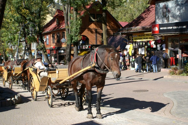 Zakopane to także liczne dodatkowe atrakcje