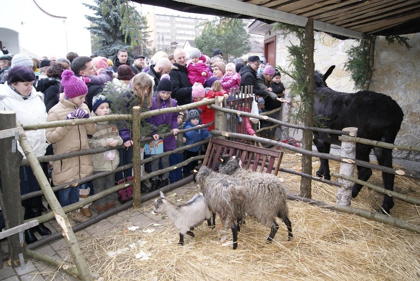 Kiedyś żywa szopka była w Olkuszu (na zdj.)