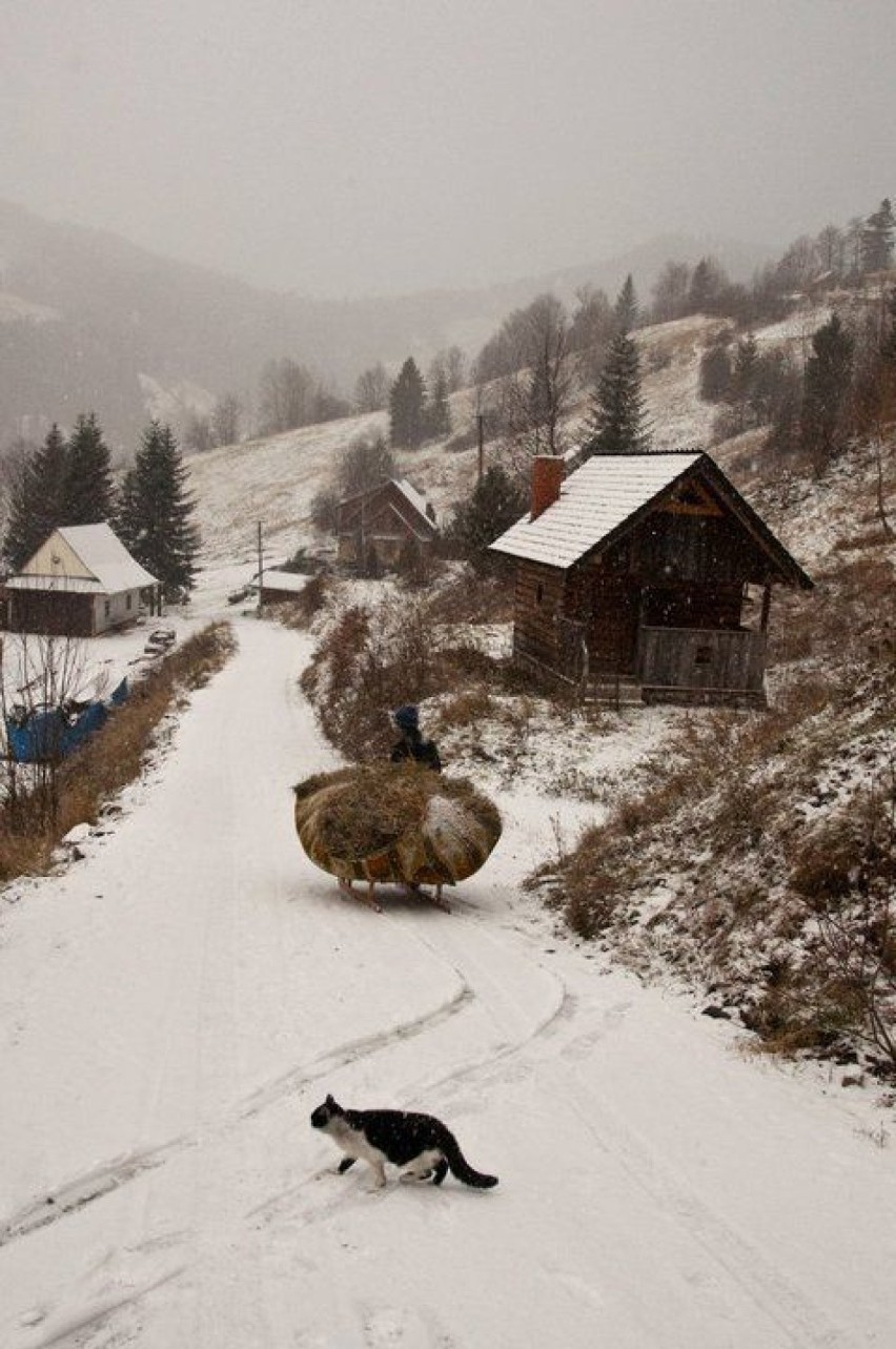 Pierwszy śnieg w Ochotnicy Górnej