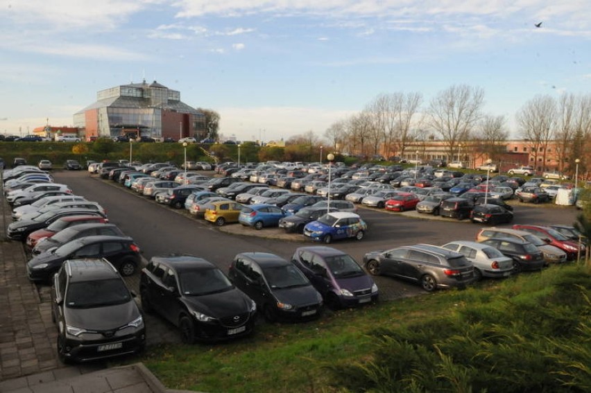 Tak przez większość dnia wygląda parking przy palmiarni w...