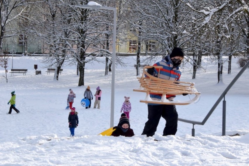 Kadzielnia w Kielcach oblężona przez... amatorów sanek. Świetna zabawa na śniegu. Zobacz film i zdjęcia