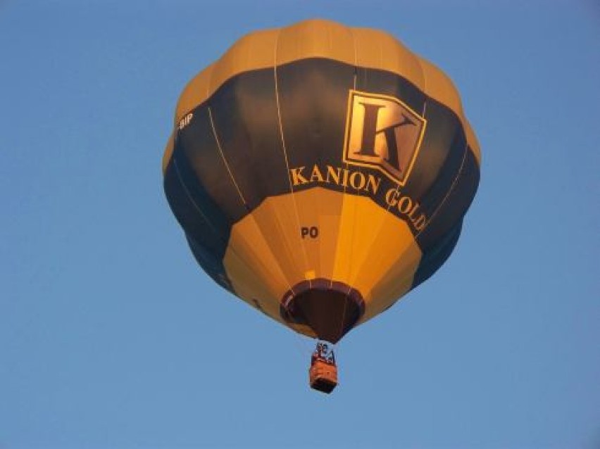 Aeroklub Łódzki chce zdobyć pieniądze z Budżetu Obywatelskiego na balon z logiem miasta Łodzi.