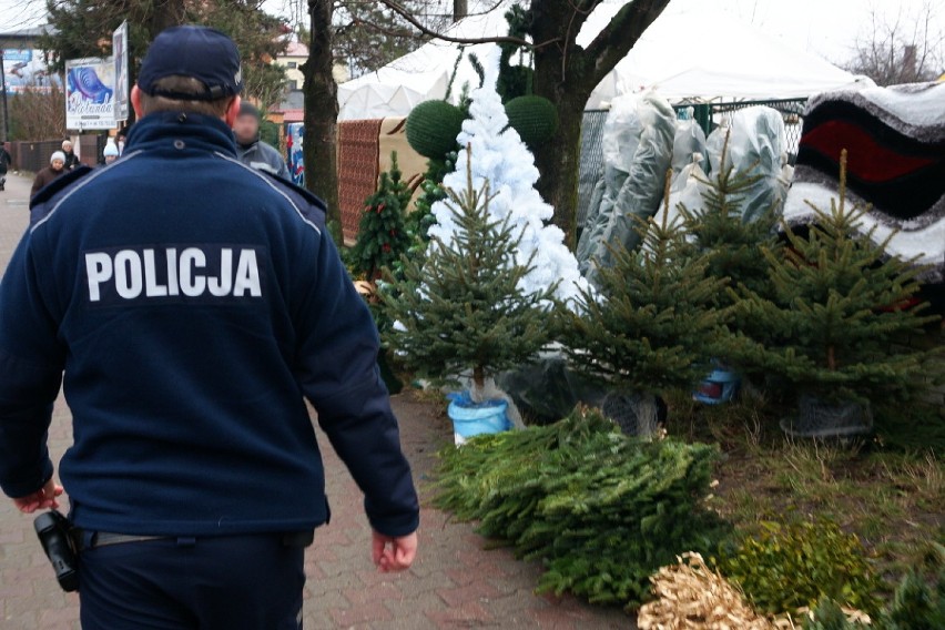 Kradzieże choinek w powiecie zawierciańskim