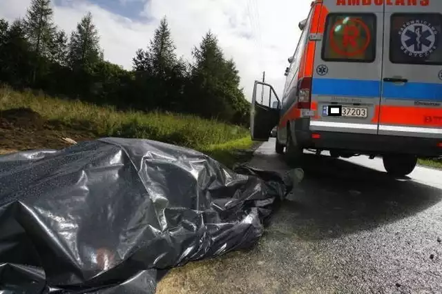 Policjanci wstępnie ustalili, że kierowca seata, jadąc w kierunku Rzeszowa, zatrzymał się przed skrzyżowaniem z zamiarem skrętu w lewo. Na tył samochodu najechał kierujący citroenem.