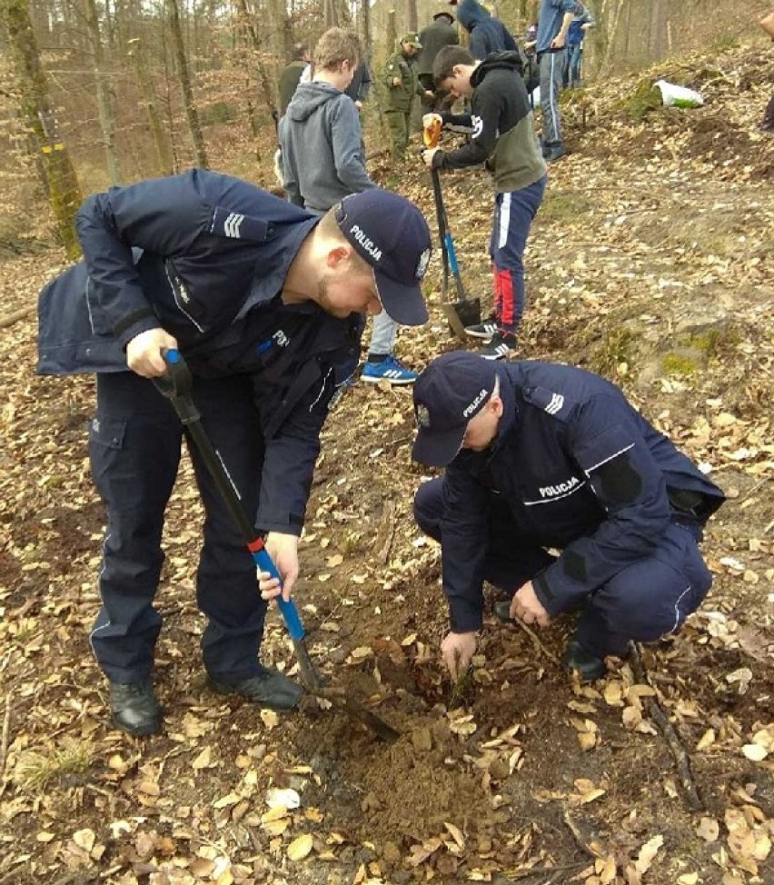 Policjanci z lęborskiej komendy sadzili drzewa w lesie [ZDJĘCIA]