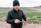 Ciepła i bezśnieżna zima może być niebezpieczna dla rolnictwa