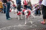 Dzień Psa w parku Praskim. Zabierz czworonoga na wspólną zabawę!