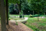 „4 łapy” w Trzebnicy, czyli park dla psów. Z okazji Światowego Dnia Psa przypominamy o tym miejscu w naszym mieście [ZDJĘCIA]