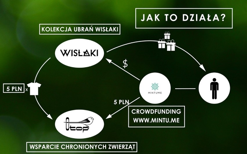Wisłaki - modowy projekt wspierający ekologię