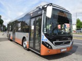 Piła. MZK testuje kolejny miejski autobus hybrydowy - Volvo 7900. Pasażerowie są zachwyceni [ZDJĘCIA]