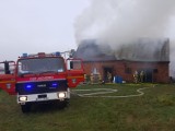 Groźny pożar domu w Jeziorkach (gmina Barwice). Dom nie nadaje się do zamieszkania [zdjęcia]