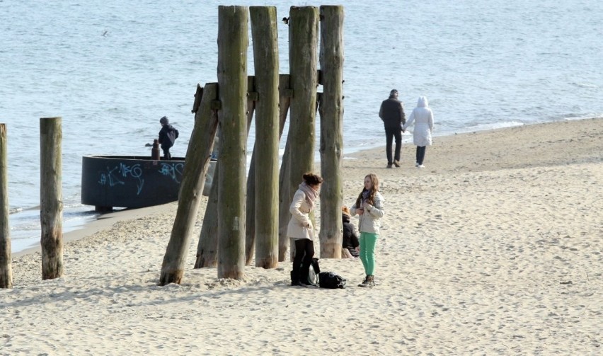 Gdynia sprząta plaże. GOSiR mobilizuje siły przed sezonem