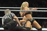 Divy Beth Phoenix i Kelly Kelly podczas WWE RAW Revenge Tour w Ergo Arena [zdjęcia]