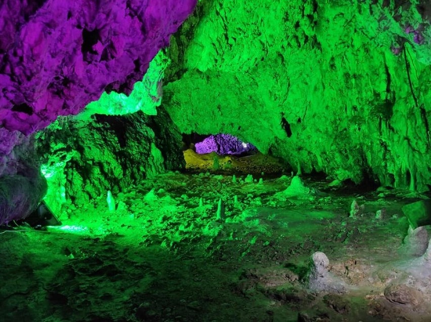 Jaskinia Nietoperzowa w Jerzmanowicach. W tym roku naliczono...