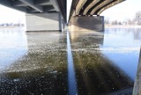 Malbork. Zima 2021 nad Nogatem. Tak rzeka i jej okolica prezentowały się w mroźną niedzielę 17 stycznia