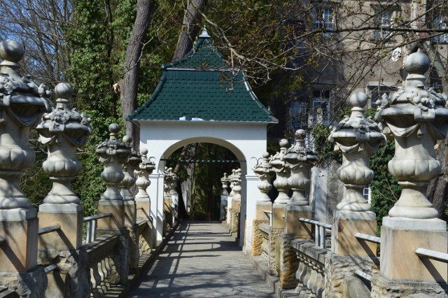 Wiosną Park Dworski w Iłowej wygląda zachwycająco. Trawniki zmieniają się w kwietne dywany, a rododendrony już mają pąki, które zakwitną już wkrótce! Warto też wiedzieć, że właśnie w Iłowej powstała stacja dokowania dla samochodów elektrycznych!