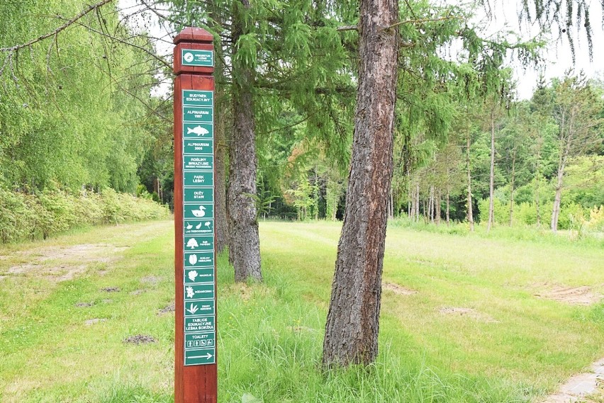 Najlepszy dojazd do Arboretum Leśnego znajduje się na trasie...