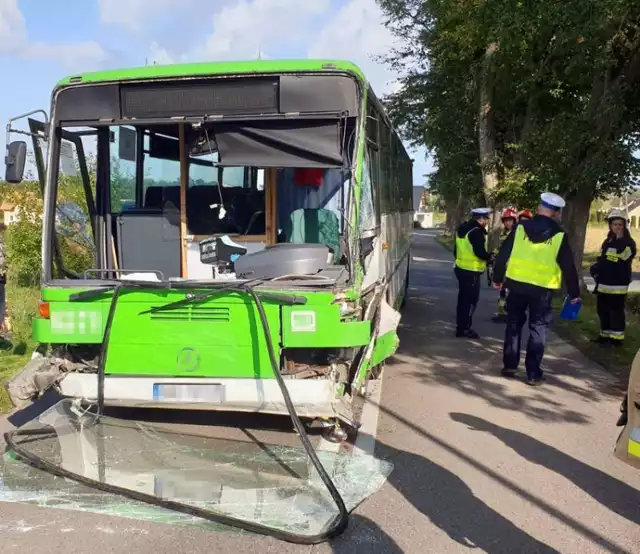 Wypadek autobusu PKS Gdynia w Darzlubiu (trasa Darzlubie - Mechowo - Leśniewo), Nadmorska Kronika Policyjna