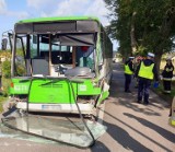 Wypadek autobusu w Darzlubiu: co ustaliła policja z Pucka? Kierowca PKS tłumaczył, że na łuku uciekał przed innym pojazdem | ZDJĘCIA