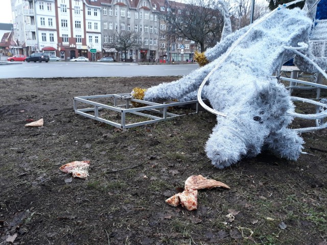 Renifer jest ozdobą świąteczno-noworoczną w centrum Stargardu