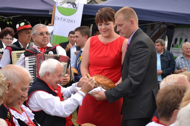 Dożynki powiatowe Strzeczonie, 17.09.2016