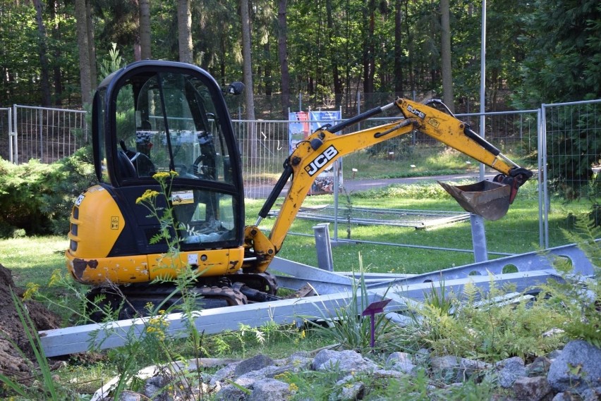 Ogród botaniczny w Zielonej Górze zmienia się i zaskakuje...