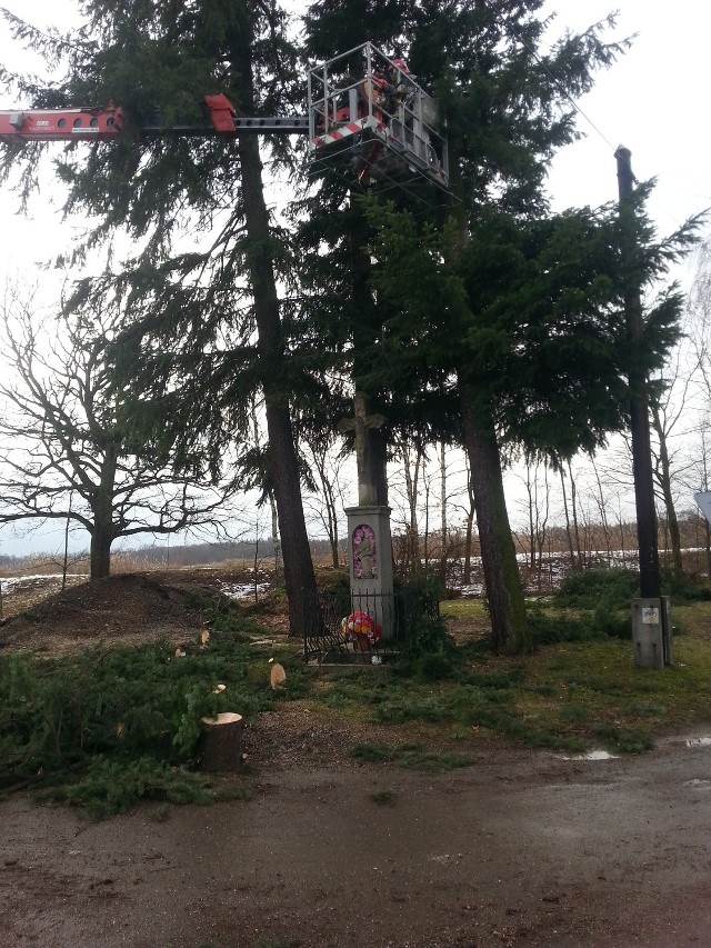 W piątek do południa strażacy z powiatu oświęcimskiego mieli aż 7 interwencji, związanych z silnym wiatrem, który przewrócił 6 drzew