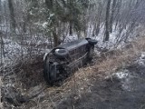 Sławków. Zderzenie z sarną omal nie skończyło się tragedią. Samochód wylądował w rowie. Uważajcie, bo o taki wypadek łatwo