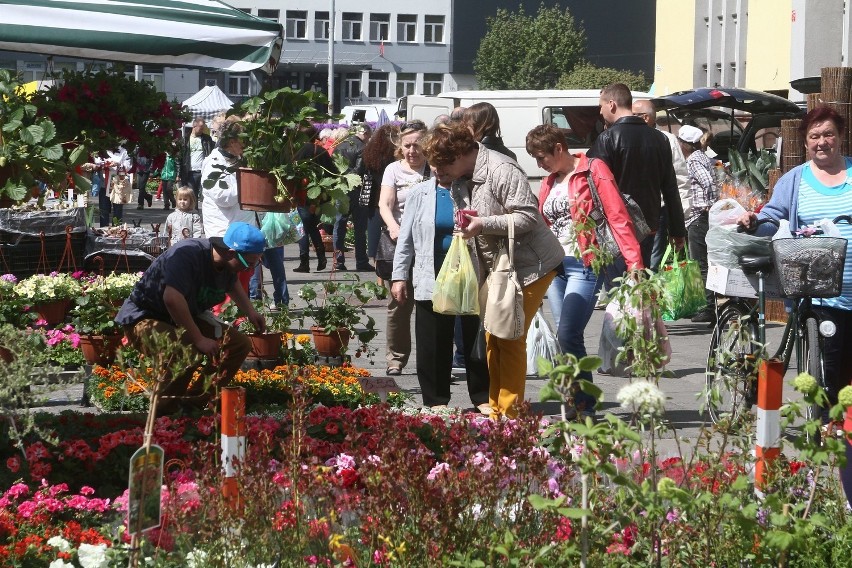 Kiermasz Działkowca w Łodzi, maj 2015