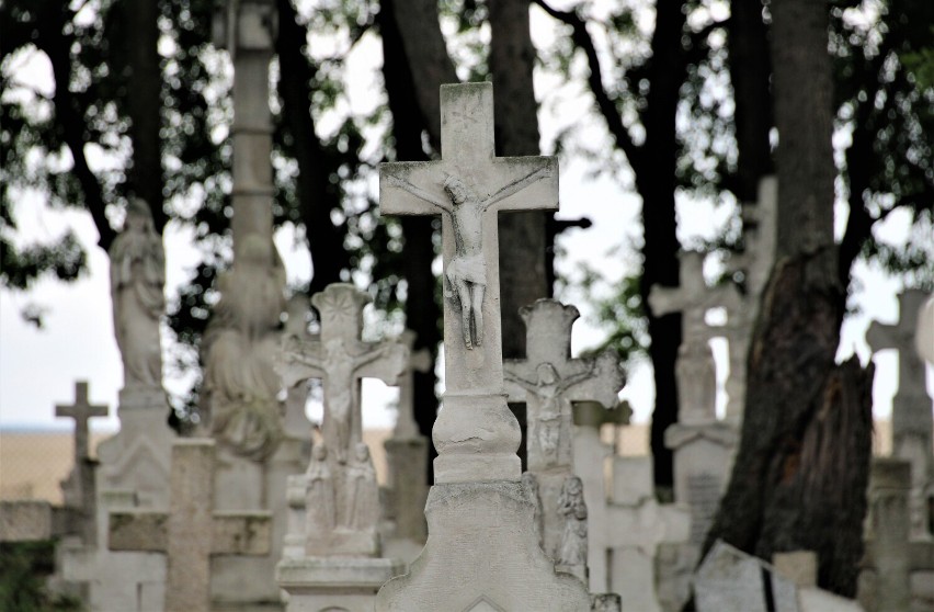Cmentarz w Wierzbicy