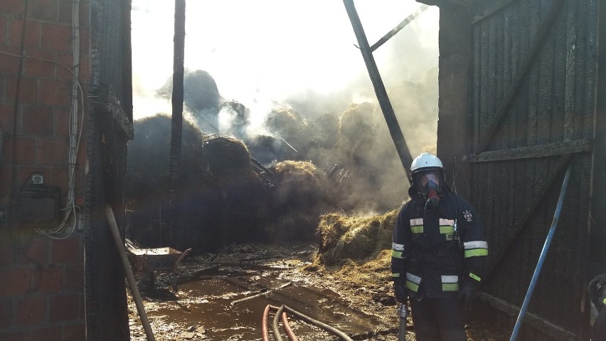Pożar w Zbiersku. Płonął budynek na terenie jednego z gospodarstw. ZDJĘCIA