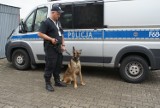 Policyjny pies  odnalazł zaginionego 45-letniego  mieszkańca powiatu łaskiego