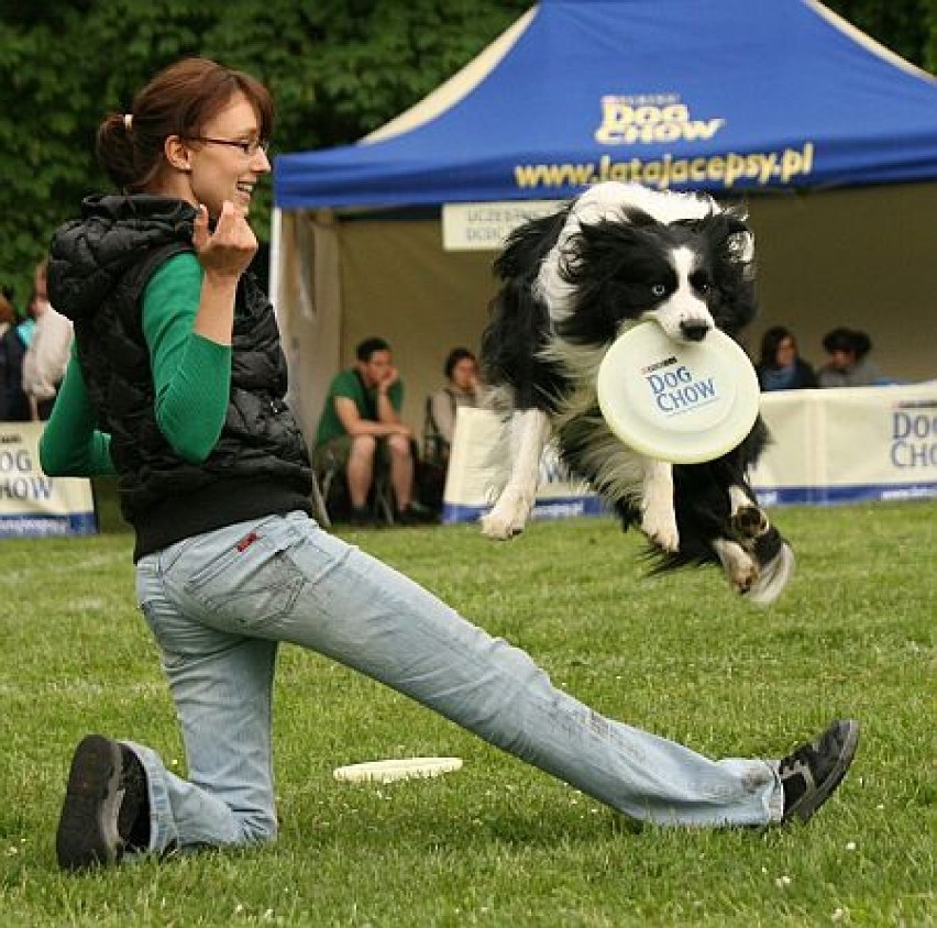 Dog Chow Disc Cup 2011 we Wrocławiu