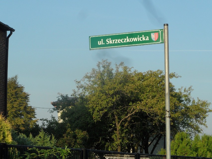 Ulica Skrzeczkowicka Żory: Jedna z najbrzydszych w Roju