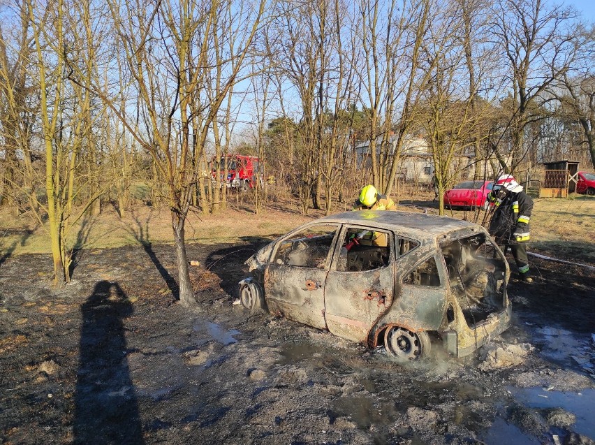 Pożar w Siedlcach w gminie Sędziejowice. Paliły się trawy, spaliły się samochody