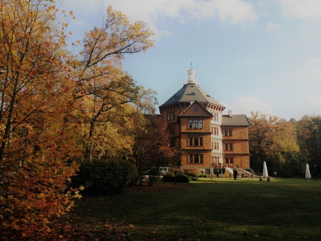 Pałac w Antoninie. Złota polska jesień zawitała do parku