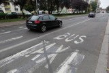 Buspas wraca na ulicę Spychalskiego w Opolu. Miasto stawia na komunikację zbiorową