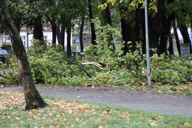 Silny wiatr prognozowany na 1.11.2017