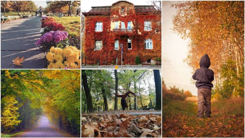 Jesień w Tarnowie i okolicach wygląda pięknie