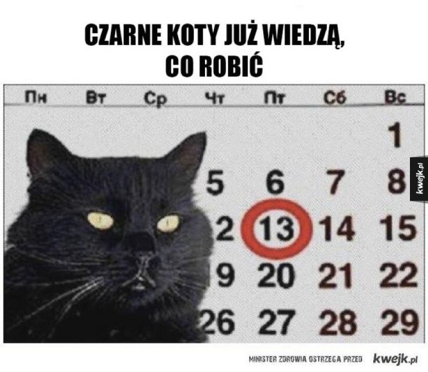 Piątek 13-nastego, czyli dzień w którym czarne koty już wiedzą co robić?