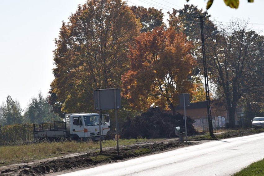 Budowa chodnika przy Paprockiej. Wycięto wszystkie drzewa [zdjęcia]