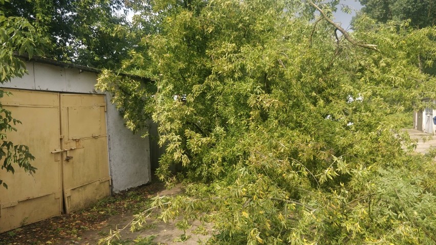 Drzewo przewróciło się na garaż  i uszkodziło samochód w powiecie włocławskim [zdjęcia]