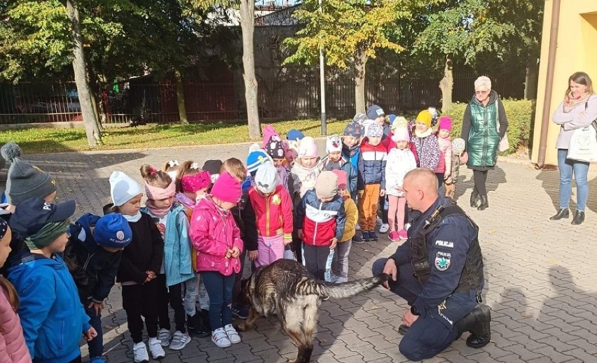 Przedszkolaki z wizytą na komisariacie. Najmłodsi zobaczyli,...