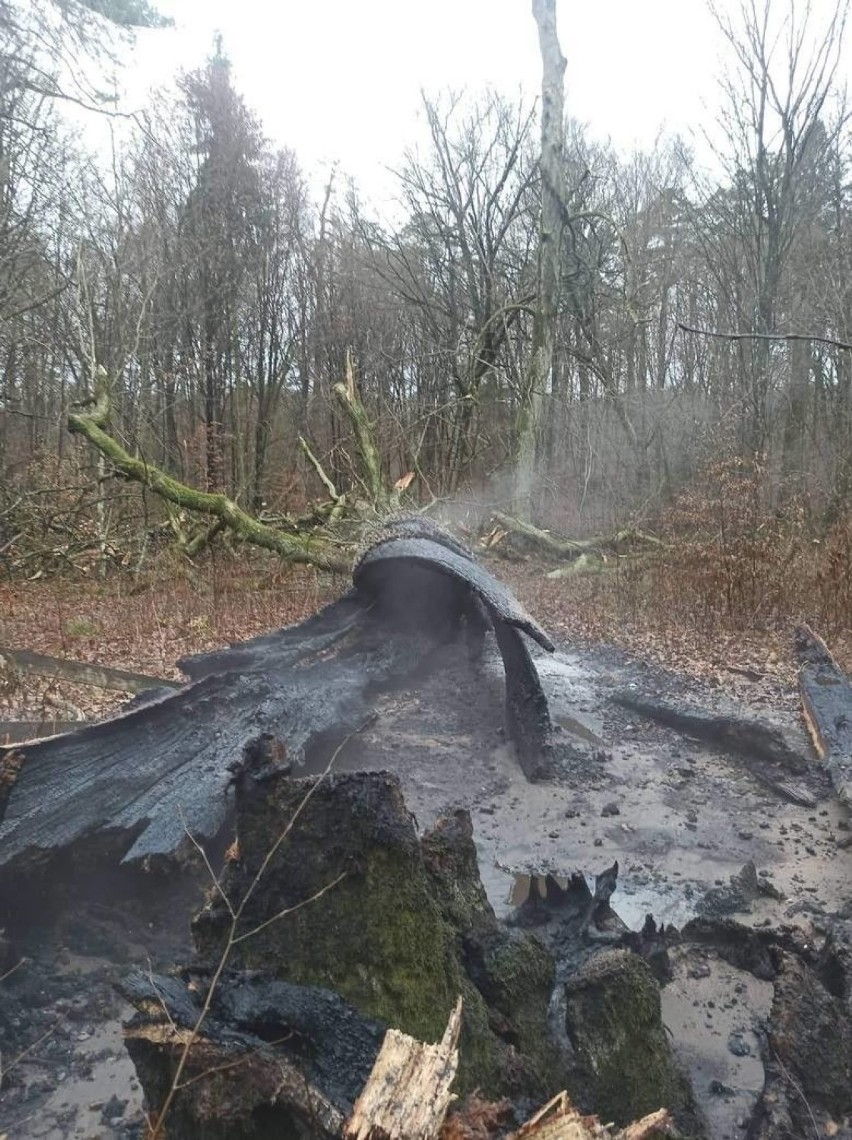 Na terenie powiatu brodnickiego doszło w ostatnim czasie do...