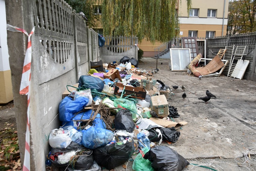 Legnica. Będą kary dla osób, które źle segregują śmieci [ZDJĘCIA]